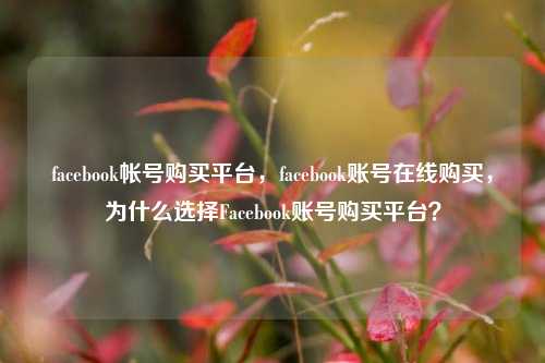 facebook帐号购买平台，facebook账号在线购买，为什么选择Facebook账号购买平台？