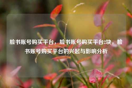 脸书账号购买平台，脸书账号购买平台2块，脸书账号购买平台的兴起与影响分析