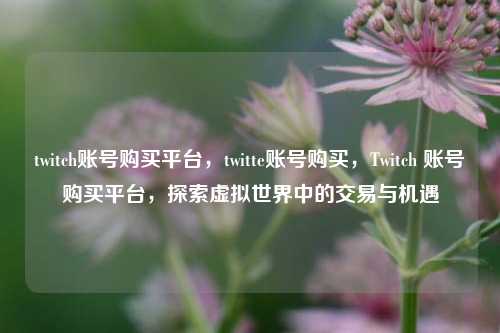twitch账号购买平台，twitte账号购买，Twitch 账号购买平台，探索虚拟世界中的交易与机遇