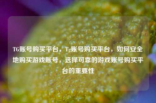TG账号购买平台，Tg账号购买平台，如何安全地购买游戏账号，选择可靠的游戏账号购买平台的重要性