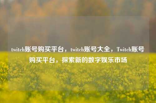 twitch账号购买平台	，twitch账号大全，Twitch账号购买平台，探索新的数字娱乐市场  第1张