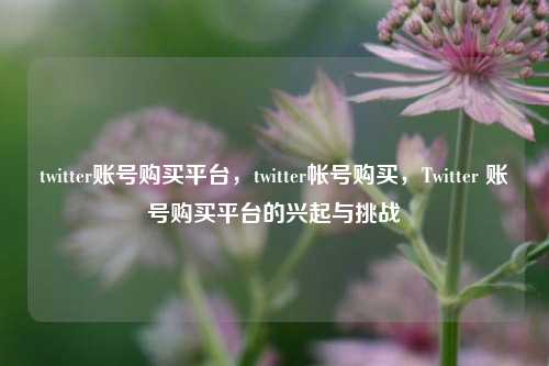 twitter账号购买平台，twitter帐号购买，Twitter 账号购买平台的兴起与挑战