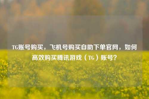 TG账号购买，飞机号购买自助下单官网，如何高效购买腾讯游戏（TG）账号？