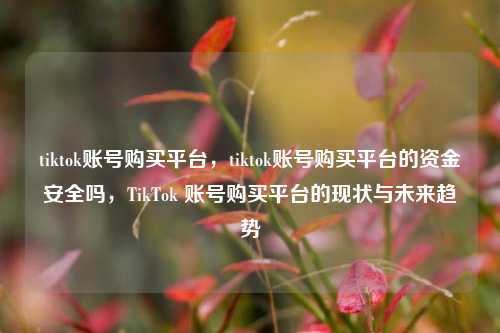 tiktok账号购买平台，tiktok账号购买平台的资金安全吗，TikTok 账号购买平台的现状与未来趋势