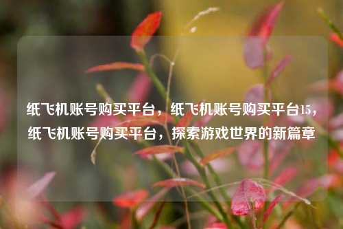 纸飞机账号购买平台，纸飞机账号购买平台15，纸飞机账号购买平台，探索游戏世界的新篇章