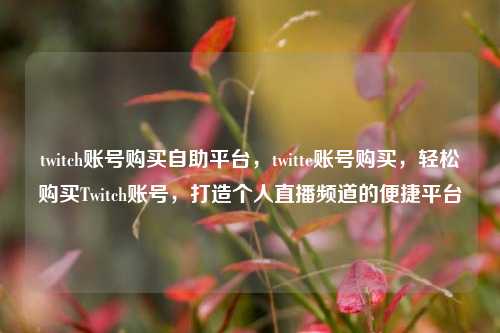 twitch账号购买自助平台，twitte账号购买，轻松购买Twitch账号，打造个人直播频道的便捷平台