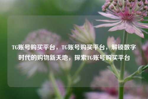 TG账号购买平台，TG账号购买平台，解锁数字时代的购物新天地，探索TG账号购买平台