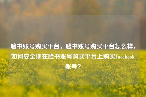 脸书账号购买平台，脸书账号购买平台怎么样，如何安全地在脸书账号购买平台上购买Facebook账号？