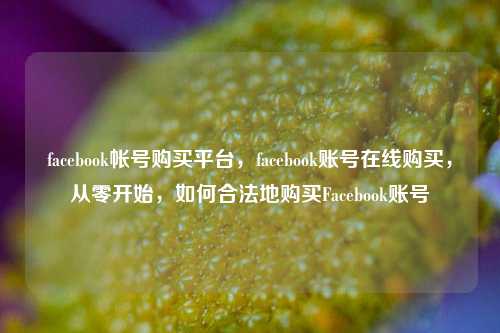facebook帐号购买平台，facebook账号在线购买，从零开始，如何合法地购买Facebook账号