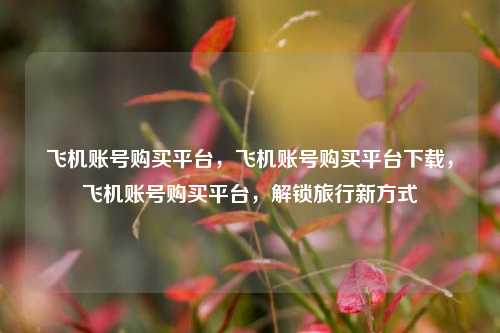 飞机账号购买平台，飞机账号购买平台下载，飞机账号购买平台，解锁旅行新方式