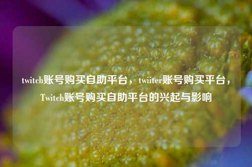 twitch账号购买自助平台，twiiter账号购买平台，Twitch账号购买自助平台的兴起与影响