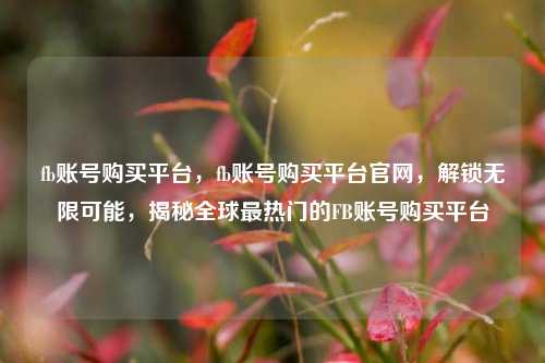 fb账号购买平台，fb账号购买平台官网，解锁无限可能，揭秘全球最热门的FB账号购买平台