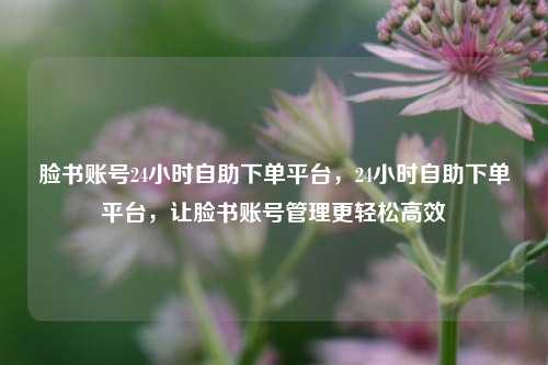 脸书账号24小时自助下单平台，24小时自助下单平台，让脸书账号管理更轻松高效