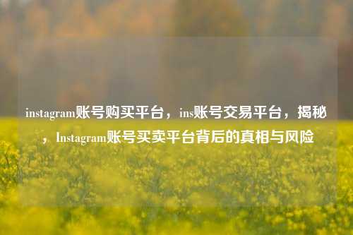 instagram账号购买平台，ins账号交易平台，揭秘，Instagram账号买卖平台背后的真相与风险
