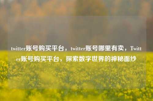 twitter账号购买平台，twitter账号哪里有卖，Twitter账号购买平台，探索数字世界的神秘面纱