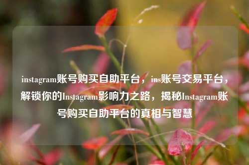 instagram账号购买自助平台，ins账号交易平台，解锁你的Instagram影响力之路，揭秘Instagram账号购买自助平台的真相与智慧  第1张