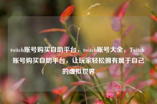 twitch账号购买自助平台，twitch账号大全，Twitch 账号购买自助平台，让玩家轻松拥有属于自己的虚拟世界