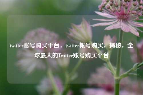 twitter账号购买平台，twitter帐号购买，揭秘，全球最大的Twitter账号购买平台