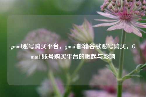 gmail账号购买平台，gmail邮箱谷歌账号购买，Gmail 账号购买平台的崛起与影响