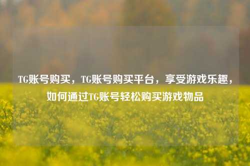 TG账号购买，TG账号购买平台，享受游戏乐趣，如何通过TG账号轻松购买游戏物品