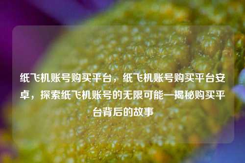 纸飞机账号购买平台，纸飞机账号购买平台安卓，探索纸飞机账号的无限可能—揭秘购买平台背后的故事