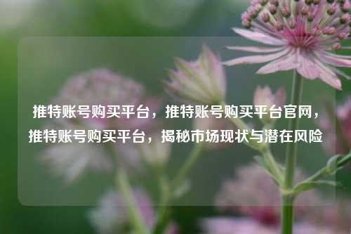 推特账号购买平台，推特账号购买平台官网，推特账号购买平台，揭秘市场现状与潜在风险