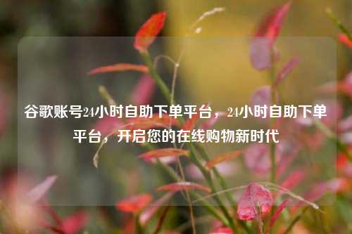 谷歌账号24小时自助下单平台，24小时自助下单平台，开启您的在线购物新时代