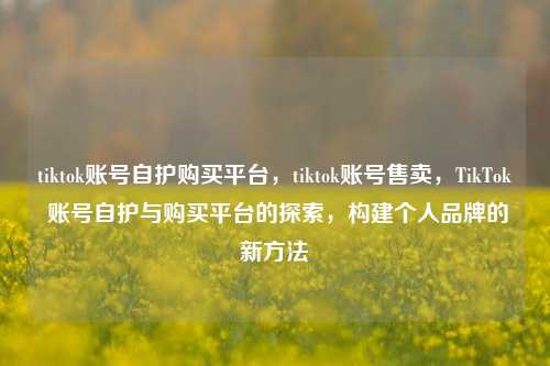 tiktok账号自护购买平台	，tiktok账号售卖，TikTok 账号自护与购买平台的探索，构建个人品牌的新方法  第1张