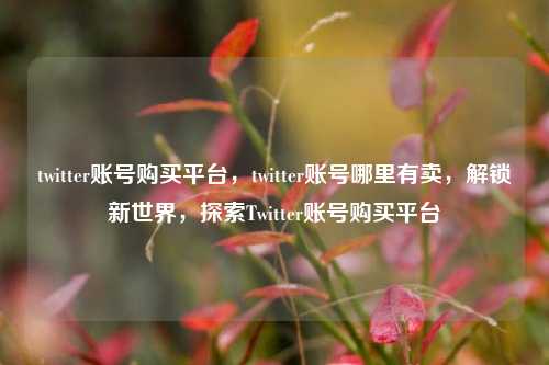 twitter账号购买平台，twitter账号哪里有卖，解锁新世界，探索Twitter账号购买平台