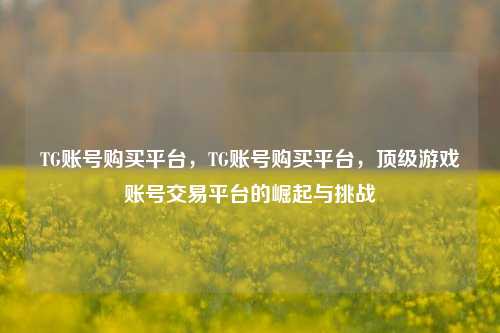 TG账号购买平台，TG账号购买平台，顶级游戏账号交易平台的崛起与挑战