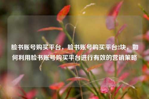 脸书账号购买平台，脸书账号购买平台2块，如何利用脸书账号购买平台进行有效的营销策略