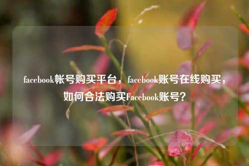 facebook帐号购买平台，facebook账号在线购买，如何合法购买Facebook账号？