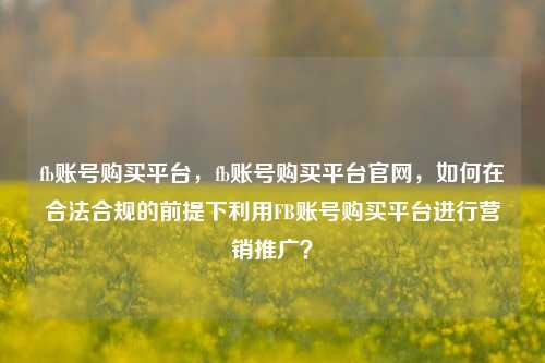 fb账号购买平台，fb账号购买平台官网，如何在合法合规的前提下利用FB账号购买平台进行营销推广？