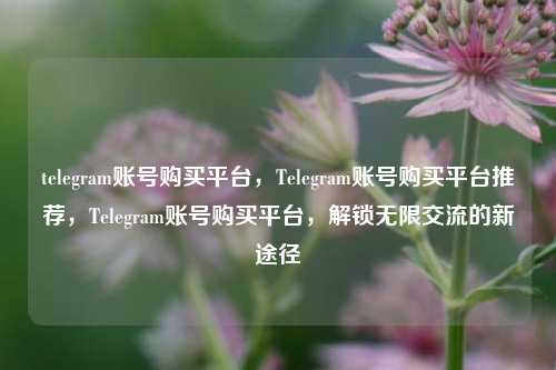 telegram账号购买平台，Telegram账号购买平台推荐，Telegram账号购买平台，解锁无限交流的新途径