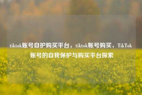 tiktok账号自护购买平台，tiktok帐号购买，TikTok 账号的自我保护与购买平台探索