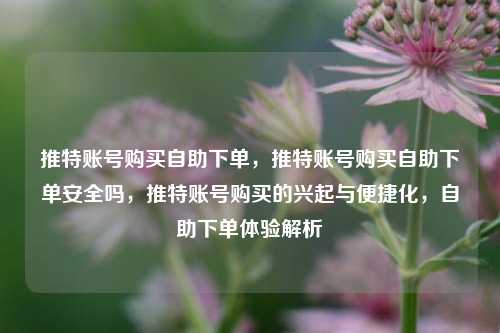 推特账号购买自助下单，推特账号购买自助下单安全吗，推特账号购买的兴起与便捷化，自助下单体验解析
