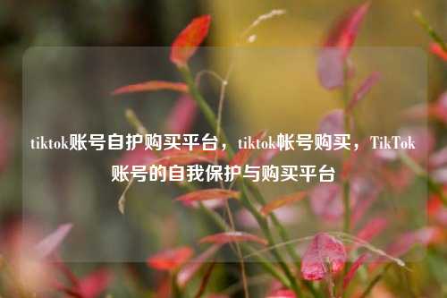 tiktok账号自护购买平台，tiktok帐号购买，TikTok账号的自我保护与购买平台