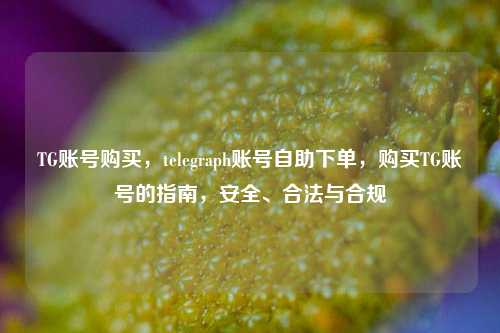 TG账号购买，telegraph账号自助下单，购买TG账号的指南，安全、合法与合规
