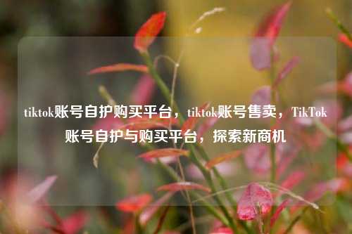 tiktok账号自护购买平台，tiktok账号售卖，TikTok账号自护与购买平台，探索新商机