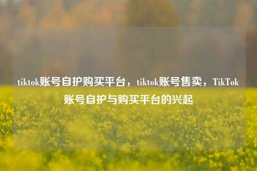 tiktok账号自护购买平台，tiktok账号售卖，TikTok账号自护与购买平台的兴起