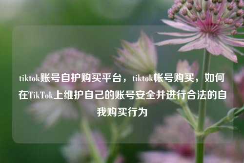 tiktok账号自护购买平台，tiktok帐号购买，如何在TikTok上维护自己的账号安全并进行合法的自我购买行为