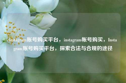 instagram账号购买平台，instagram帐号购买，Instagram账号购买平台，探索合法与合规的途径