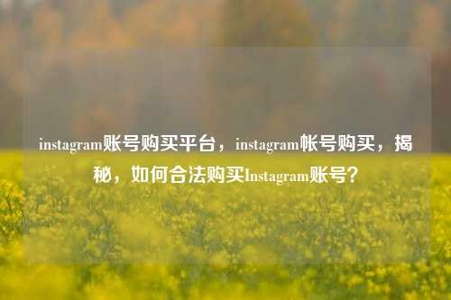 instagram账号购买平台，instagram帐号购买，揭秘，如何合法购买Instagram账号？