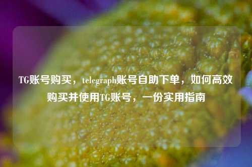 TG账号购买，telegraph账号自助下单，如何高效购买并使用TG账号，一份实用指南