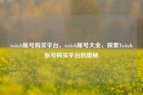 twitch账号购买平台，twitch账号大全，探索Twitch账号购买平台的奥秘