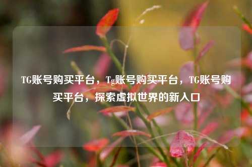 TG账号购买平台，Tg账号购买平台，TG账号购买平台，探索虚拟世界的新入口