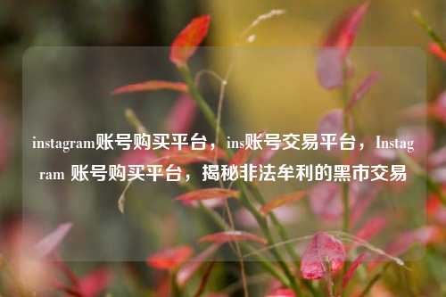 instagram账号购买平台，ins账号交易平台，Instagram 账号购买平台，揭秘非法牟利的黑市交易