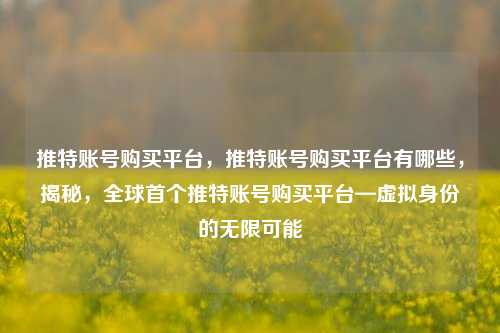 推特账号购买平台，推特账号购买平台有哪些，揭秘，全球首个推特账号购买平台—虚拟身份的无限可能