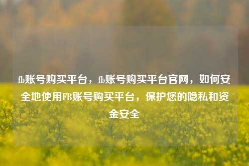 fb账号购买平台，fb账号购买平台官网，如何安全地使用FB账号购买平台，保护您的隐私和资金安全