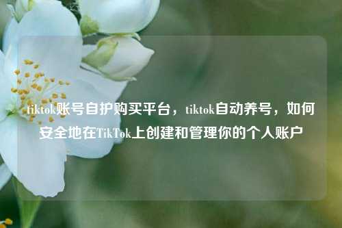 tiktok账号自护购买平台，tiktok自动养号，如何安全地在TikTok上创建和管理你的个人账户